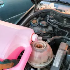 Persona con guantes vierte líquido refrigerante rosa en el depósito de expansión de un coche. Pregúntate cada cuanto se cambia el líquido refrigerante.
