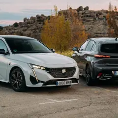Dos Peugeot 308, uno blanco y otro gris oscuro, aparcados al aire libre. Los coches híbridos son diésel o gasolina, ofreciendo opciones eficientes.
