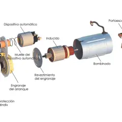 Despiece de un motor de arranque para motor diesel, mostrando el bendix, inducido y bobinado.