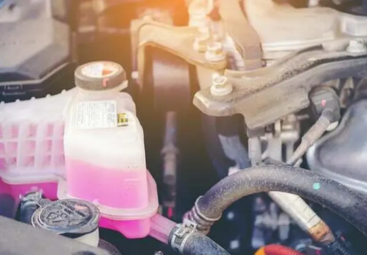 Motor de Seat León no enciende el cuadro ni arranca. El depósito de refrigerante rosa está visible, indicando un posible problema de arranque.