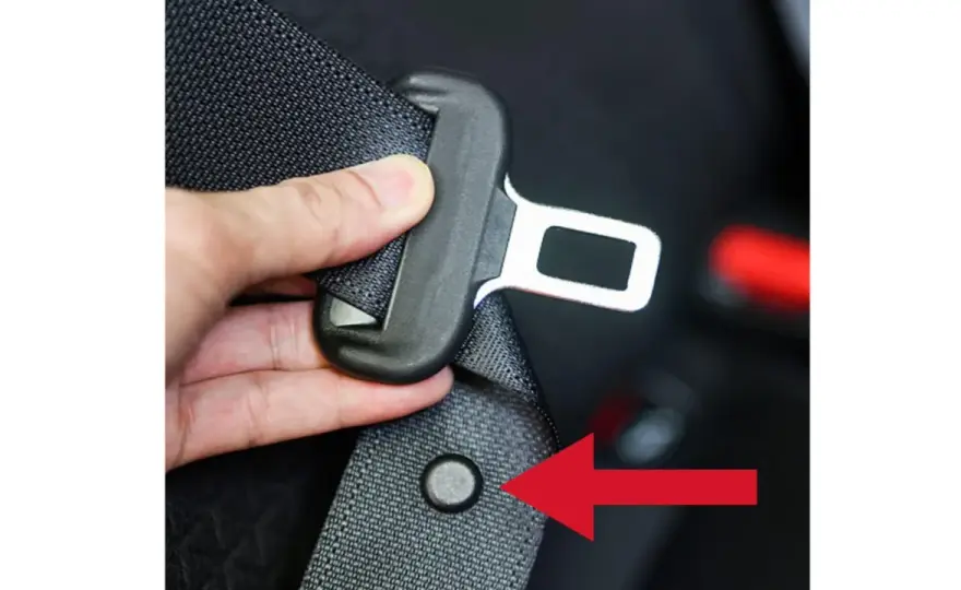 Botón del cinturón de seguridad - ¿Para qué sirve y cómo cuidarlo?