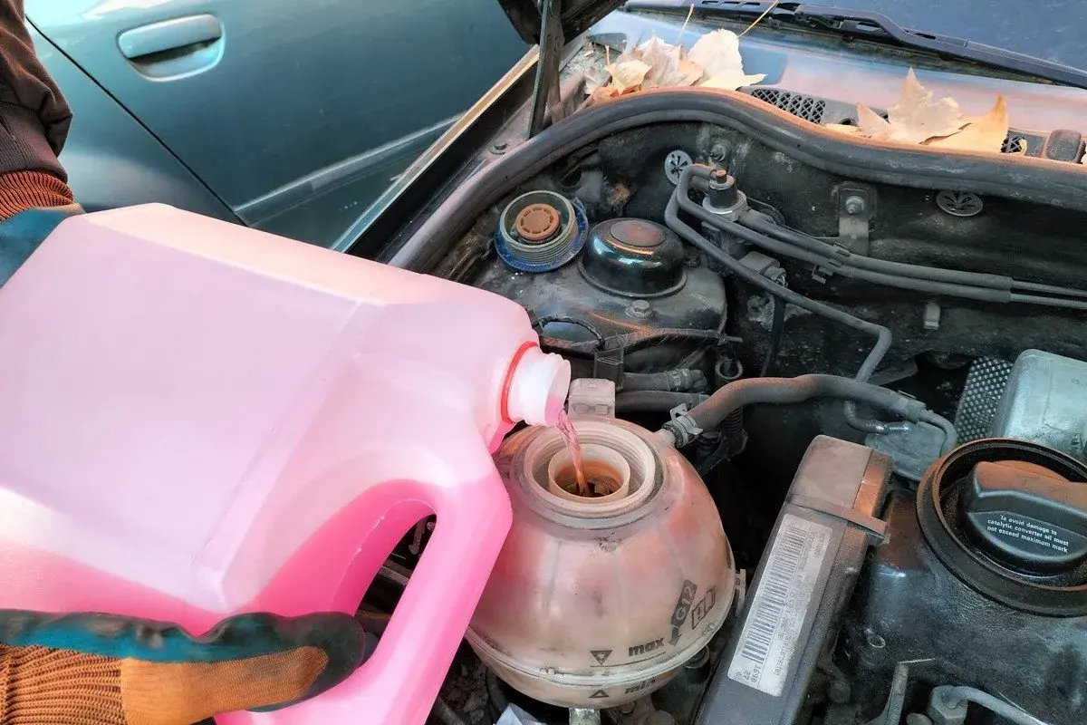 Persona con guantes vierte líquido refrigerante rosa en el depósito de expansión de un coche. Pregúntate cada cuanto se cambia el líquido refrigerante.