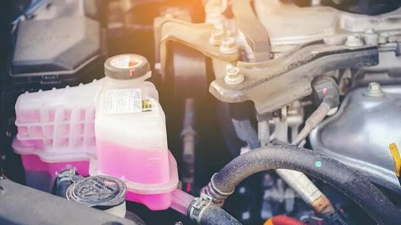 Motor de Seat León no enciende el cuadro ni arranca. El depósito de refrigerante rosa está visible, indicando un posible problema de arranque.