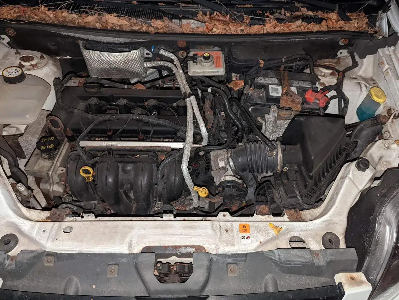 Motor de un p0404 ford transit con hojas secas en la parte superior.
